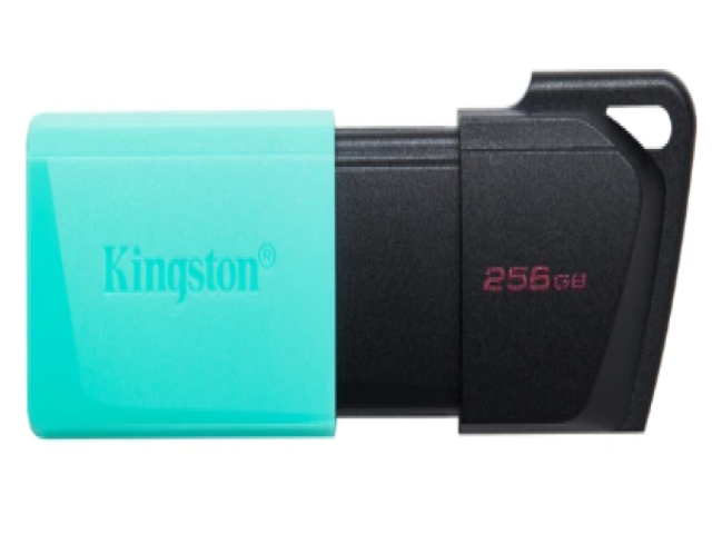 Kingston 金士頓 DataTraveler Exodia M USB3.2 256GB 隨身碟